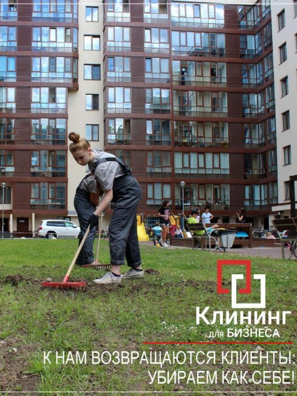 Озеленение придомовой территории многоквартирного дома в СПб